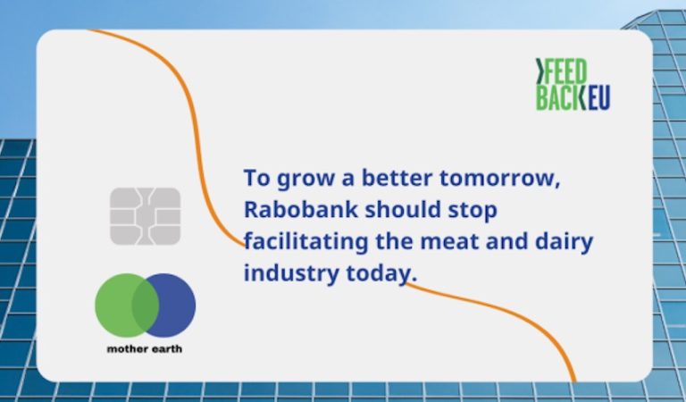 Rabobank blijft grootschalige vlees- en zuivelproductie financieren