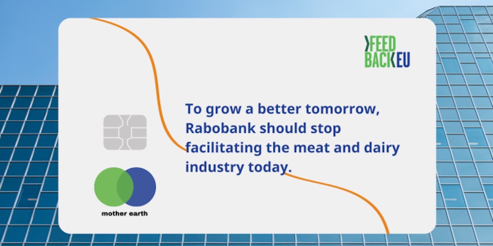 Rabobank blijft vlees- en zuivelproductie financieren -