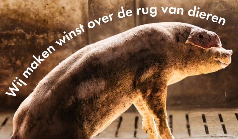 Rabobank krijgt ‘Gouden Koeienvlaai’ voor slecht dierenwelzijnsbeleid Rabobank krijgt ‘Gouden Koeienvlaai’ voor slecht dierenwelzijnsbeleid